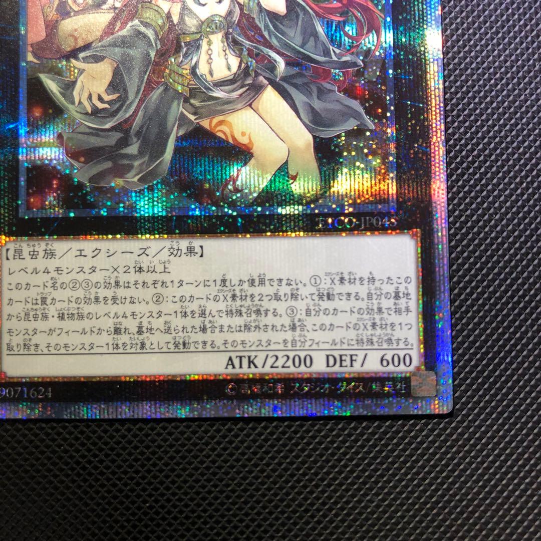 ※ウサギ　遊戯王　アロメルスの蟲惑魔　20thシークレット