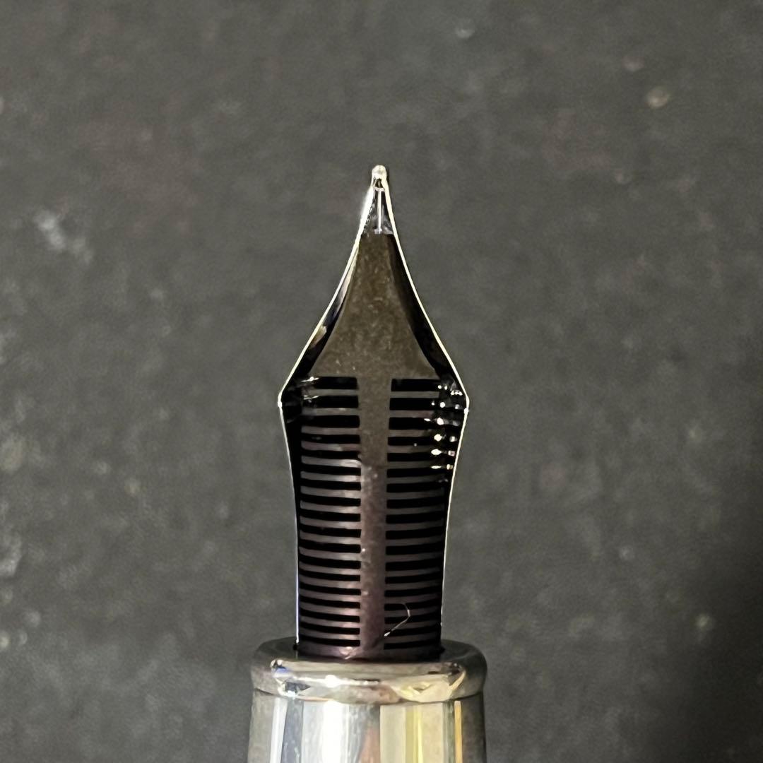 アウロラ 万年筆 海外ショップ限定 M