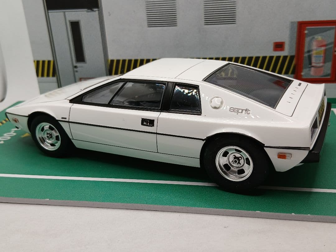 【専用品】TRYHORN 様　ロータスエスプリ