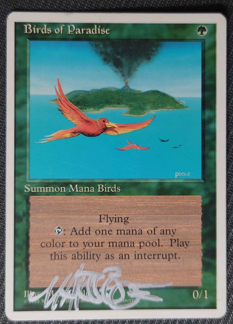 mtg 稀少 サインド 英語版 極楽鳥 4th 4ed ４版