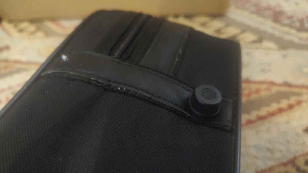 CARLO GIORDANO VS-2 4/4サイズ バイオリン 本体+弓2本