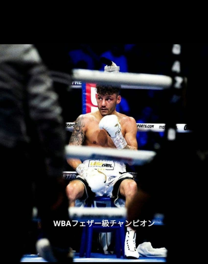 ＦＬＹボクシングヘッドギア　新品未使用