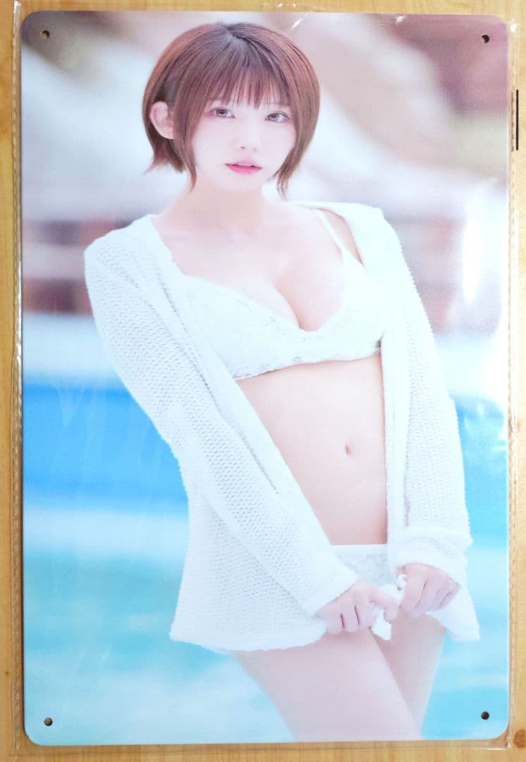 大野愛美ビキニスタイルアート　ブリキ看板