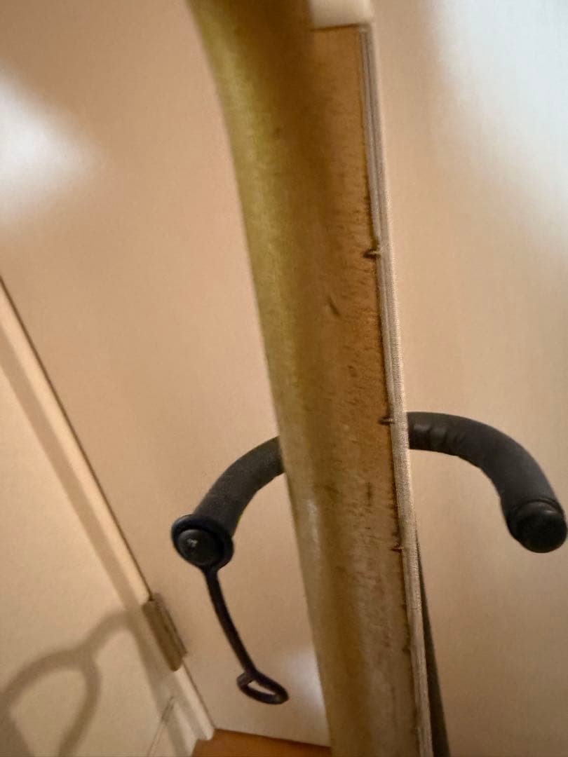 O*a様 Airline bobkat 60年代オリジナル　ビザールギター