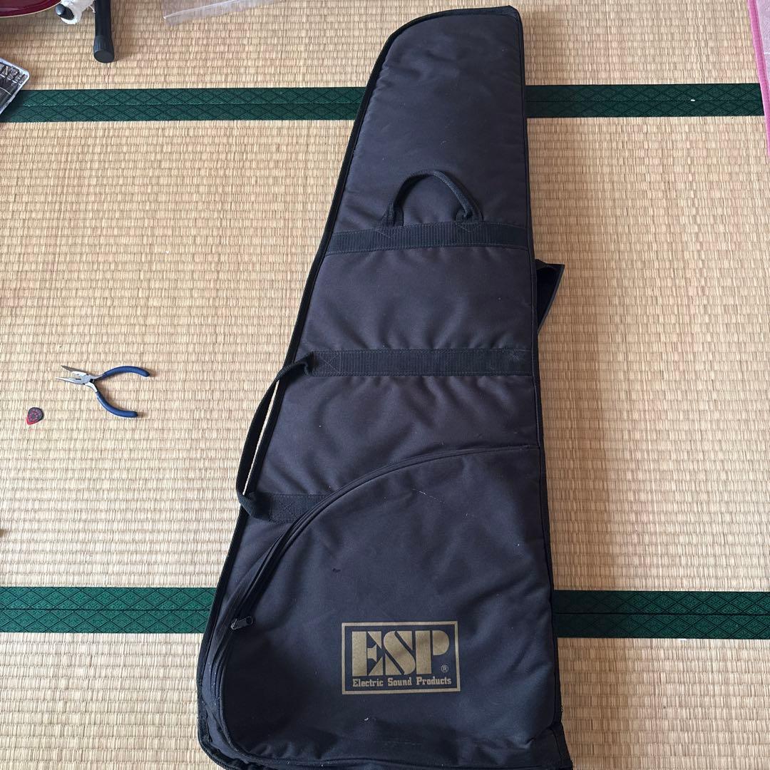 Edwards E-LP STD 初期モデルシリアル無し