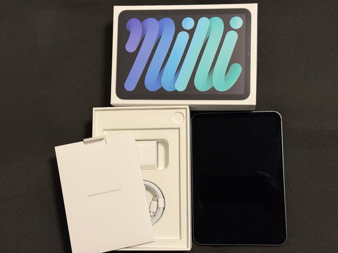 iPad mini 第6世代 スペースグレイ 256GB Cellular