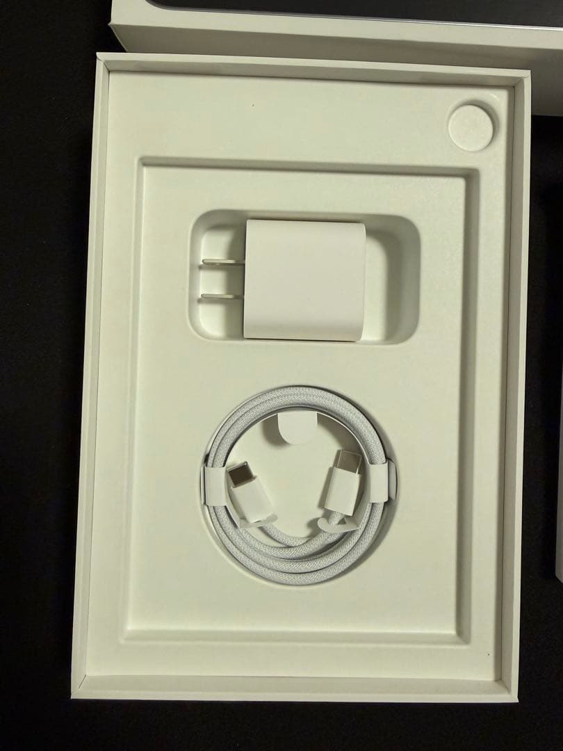 iPad mini 第6世代 スペースグレイ 256GB Cellular