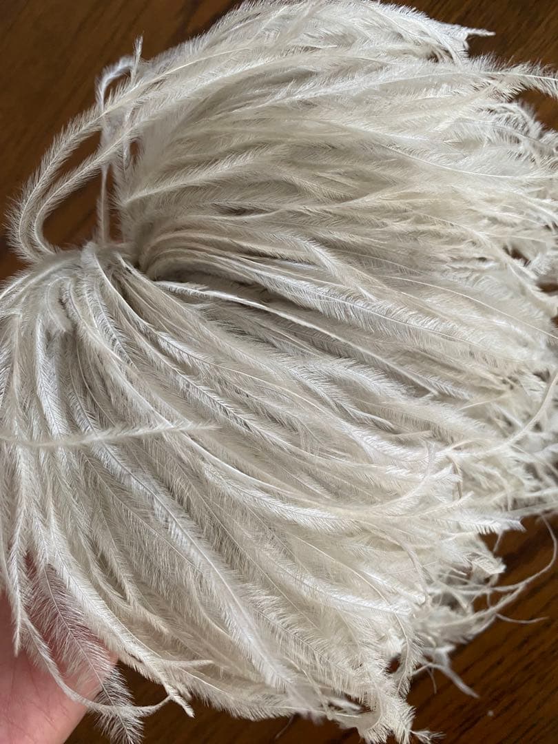 ヴェルメイユパーイエナ　コサージュ