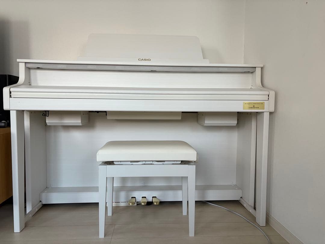 送料込CASIO GP-310WE 2023年製