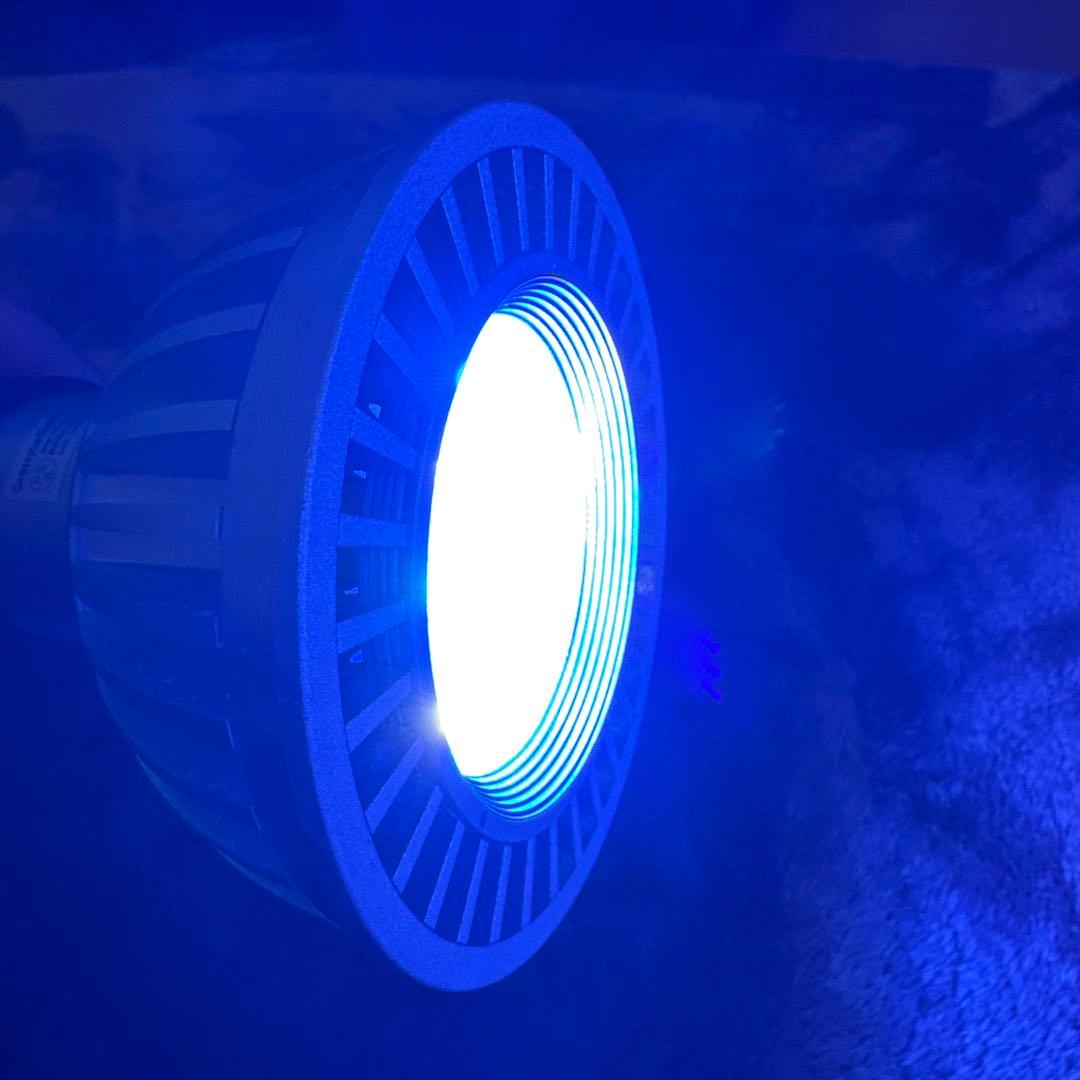 GrassyLeDiorX122 RF E26ソケットライト