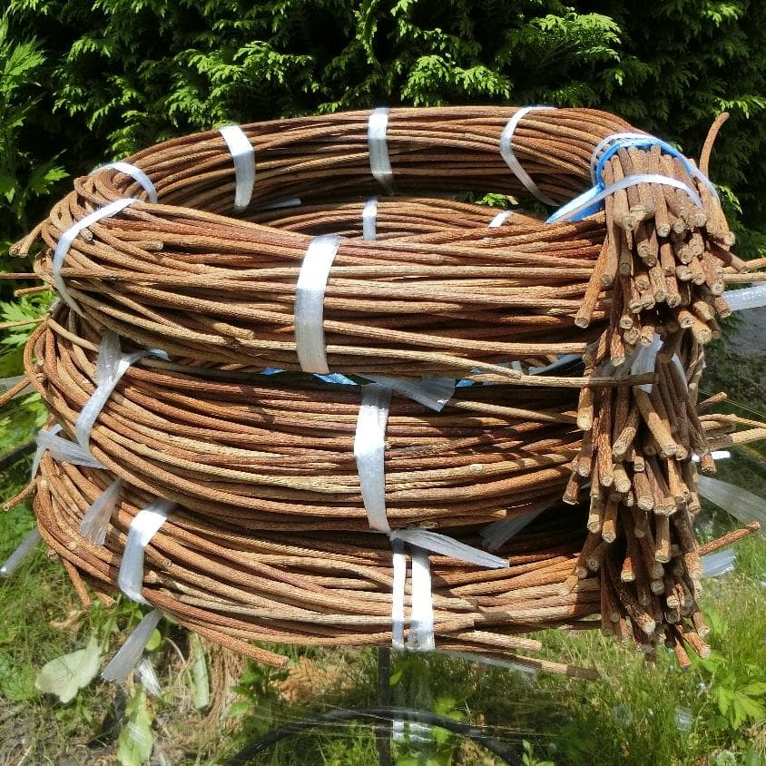 なつ（╹◡╹）♡ 青森県岩木山採取　あけび蔓　150cm～　3kg　太い蔓