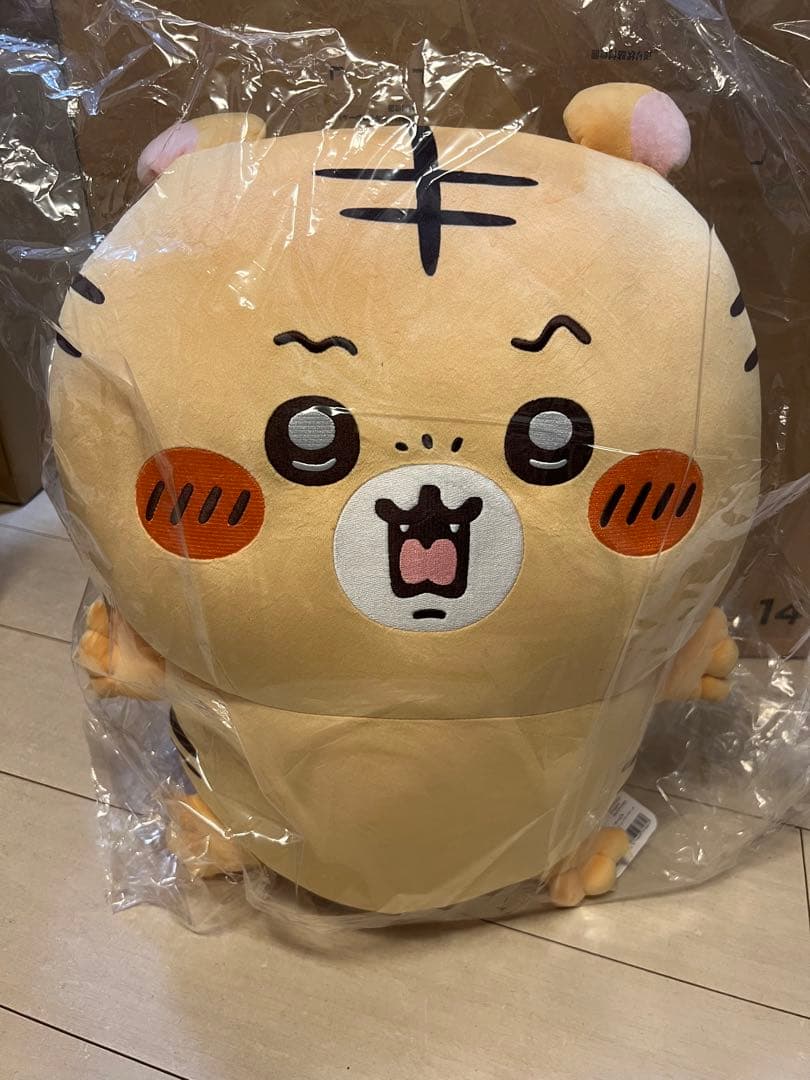 ナガノの虎　A賞