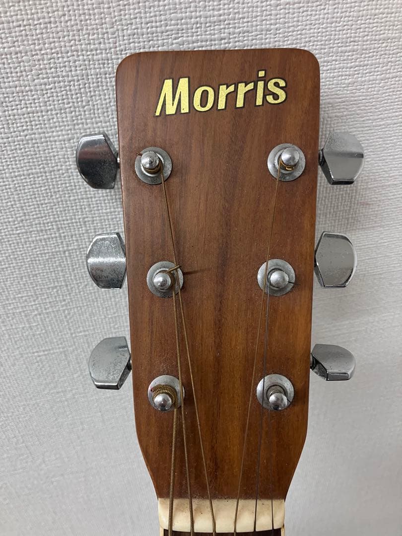 【Morsris/モーリス】MD-505 アコースティックギター アコギ 日本製