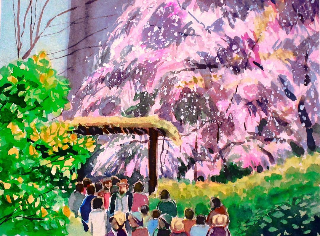 しだれ桜(六義園)水彩画 木製フレーム付き