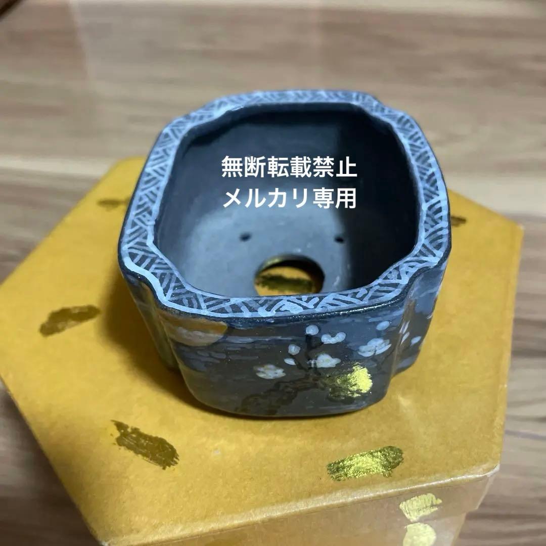 盆栽鉢　桑津香石　山野草　ミニ盆栽鉢　小品盆栽