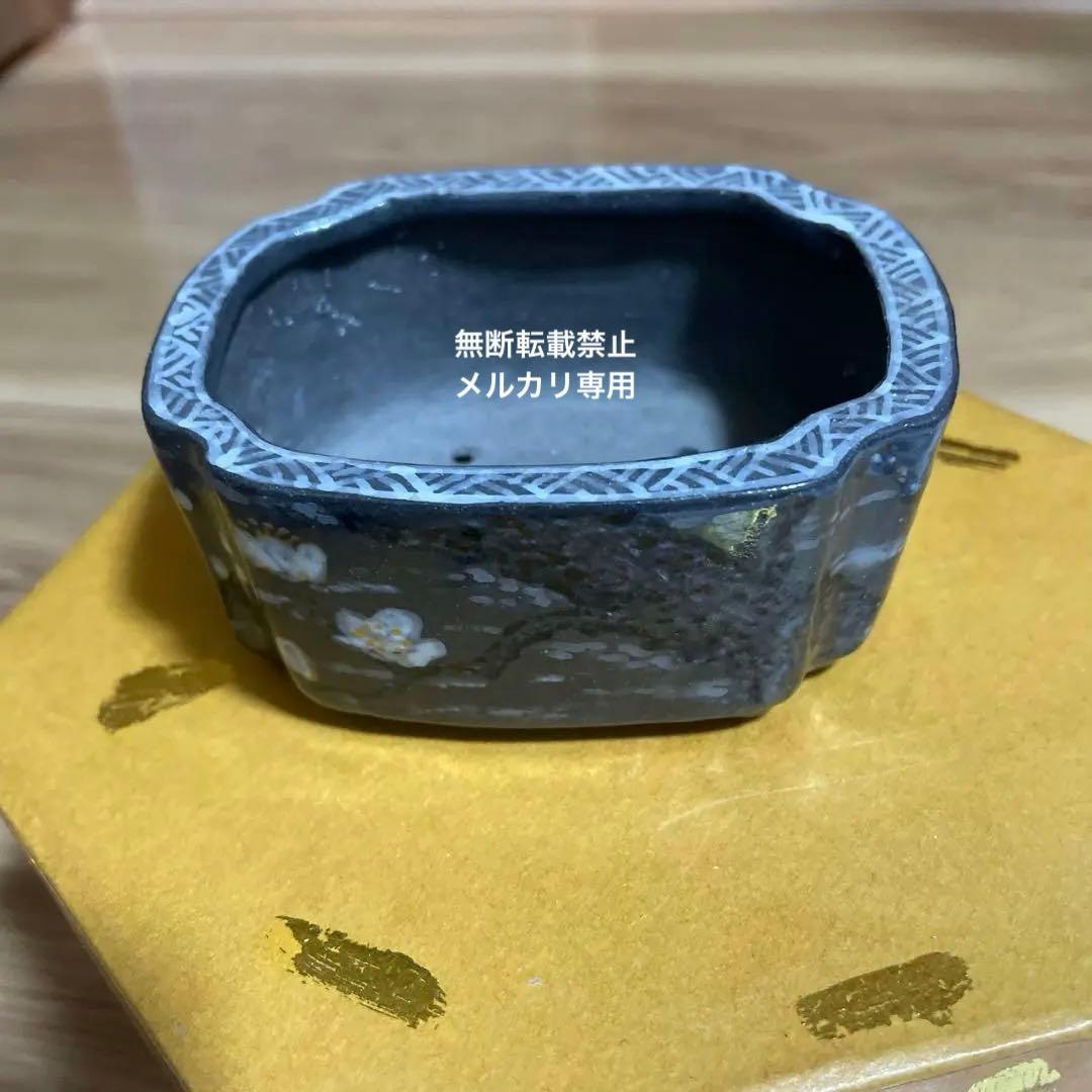 盆栽鉢　桑津香石　山野草　ミニ盆栽鉢　小品盆栽