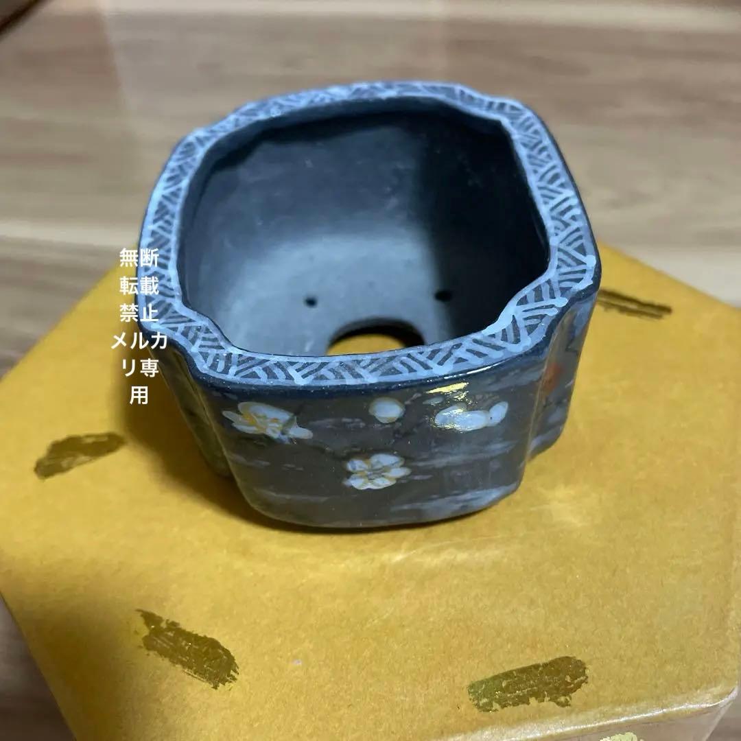 盆栽鉢　桑津香石　山野草　ミニ盆栽鉢　小品盆栽