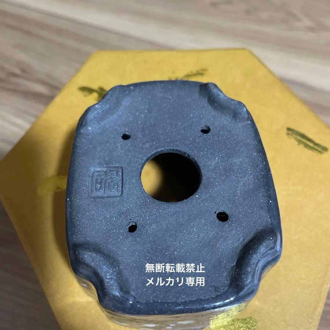 盆栽鉢　桑津香石　山野草　ミニ盆栽鉢　小品盆栽