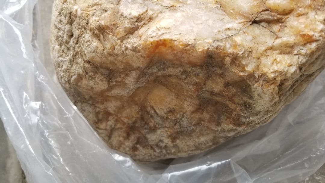 希少原石　石英　クオーツ　天然石 特大　アート