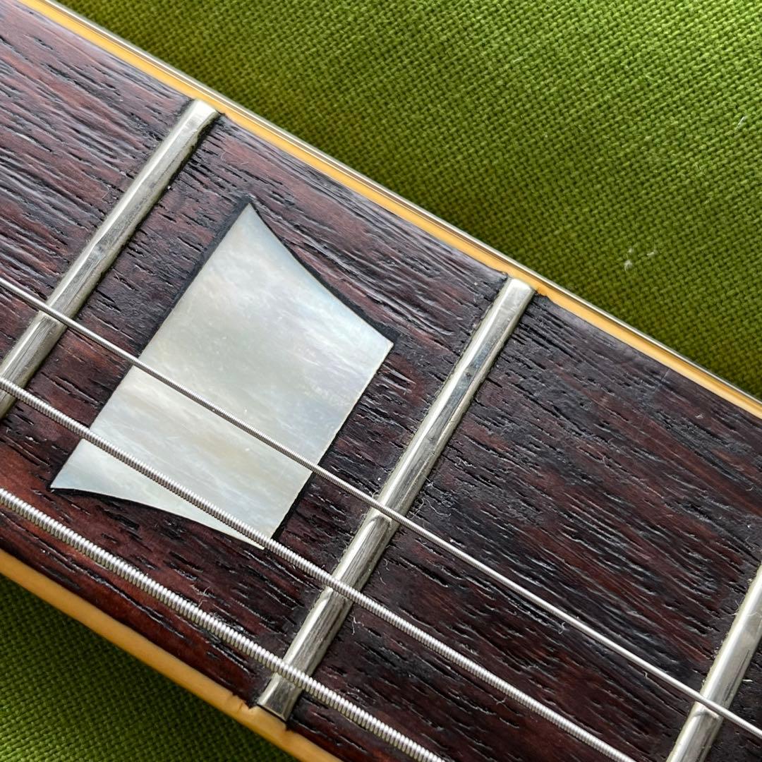 【日本製】 レスポール タイプ AriaProⅡ LS-400