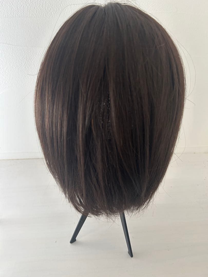 AQUADOLL アクアドール　医療用ウィッグ　人毛MIX