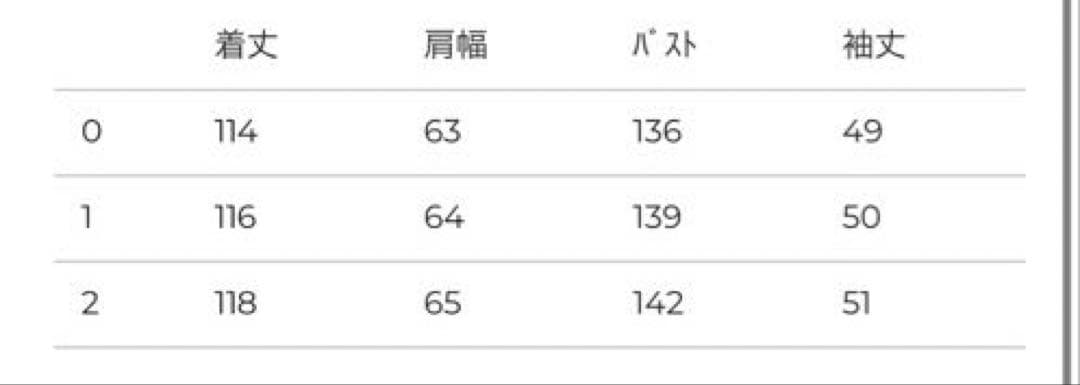 【1度着用のみ】CLANE 2025 チェスターダウン