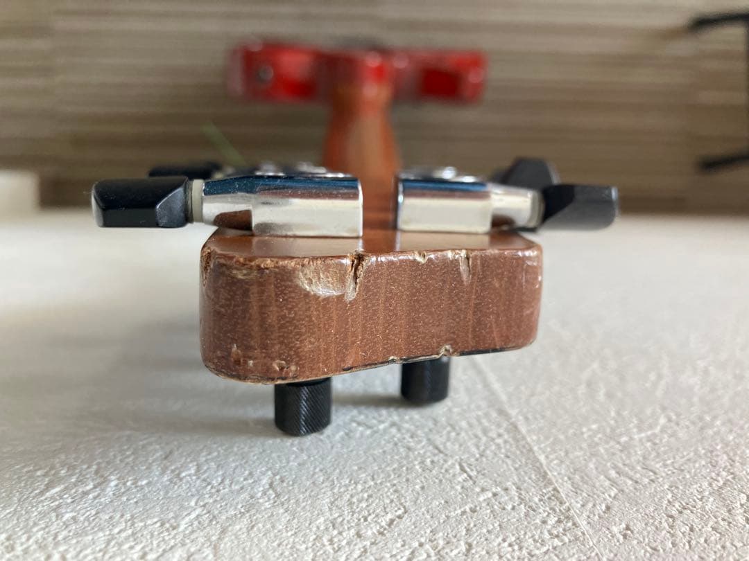 GODIN GUITAR ( ゴダン )xtSA