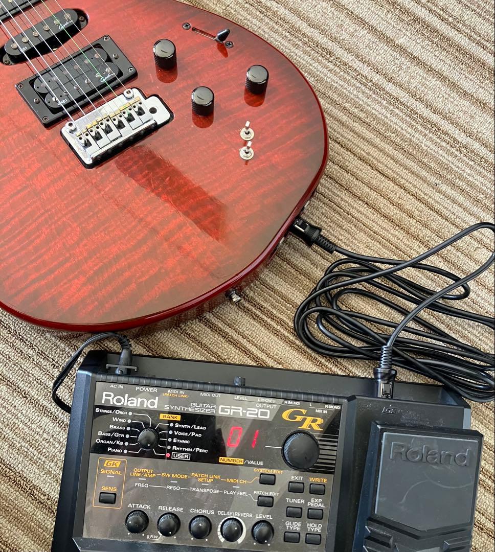 GODIN GUITAR ( ゴダン )xtSA