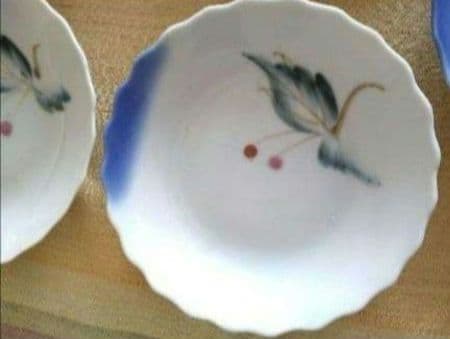 明治　大正　昭和レトロ　時代物　骨董品　伊万里　花縁取り小皿　ヤブコウジ　14枚