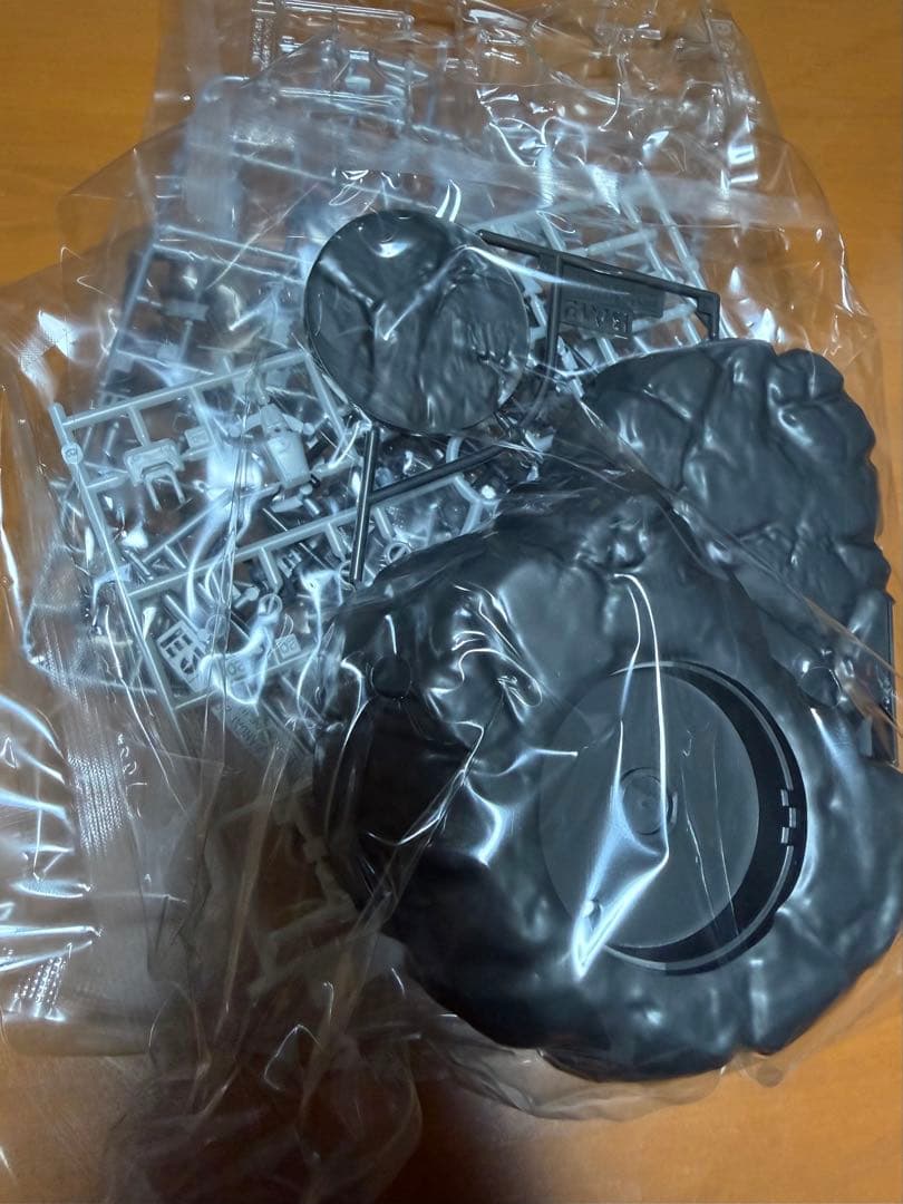 RG 1/144 ガンダム＆1/35 シャア専用ザクIIヘッド プレミアム未組立