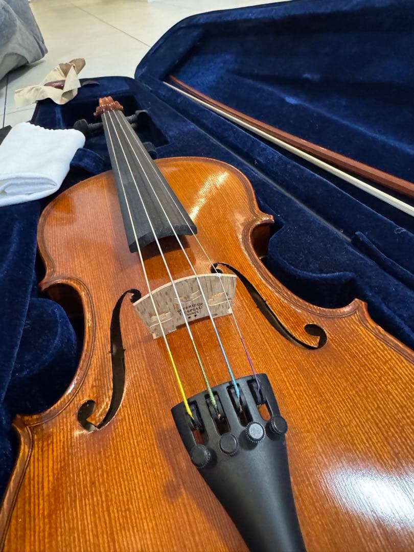Gliga Gliga Gems Violin SET バイオリン本体とその他