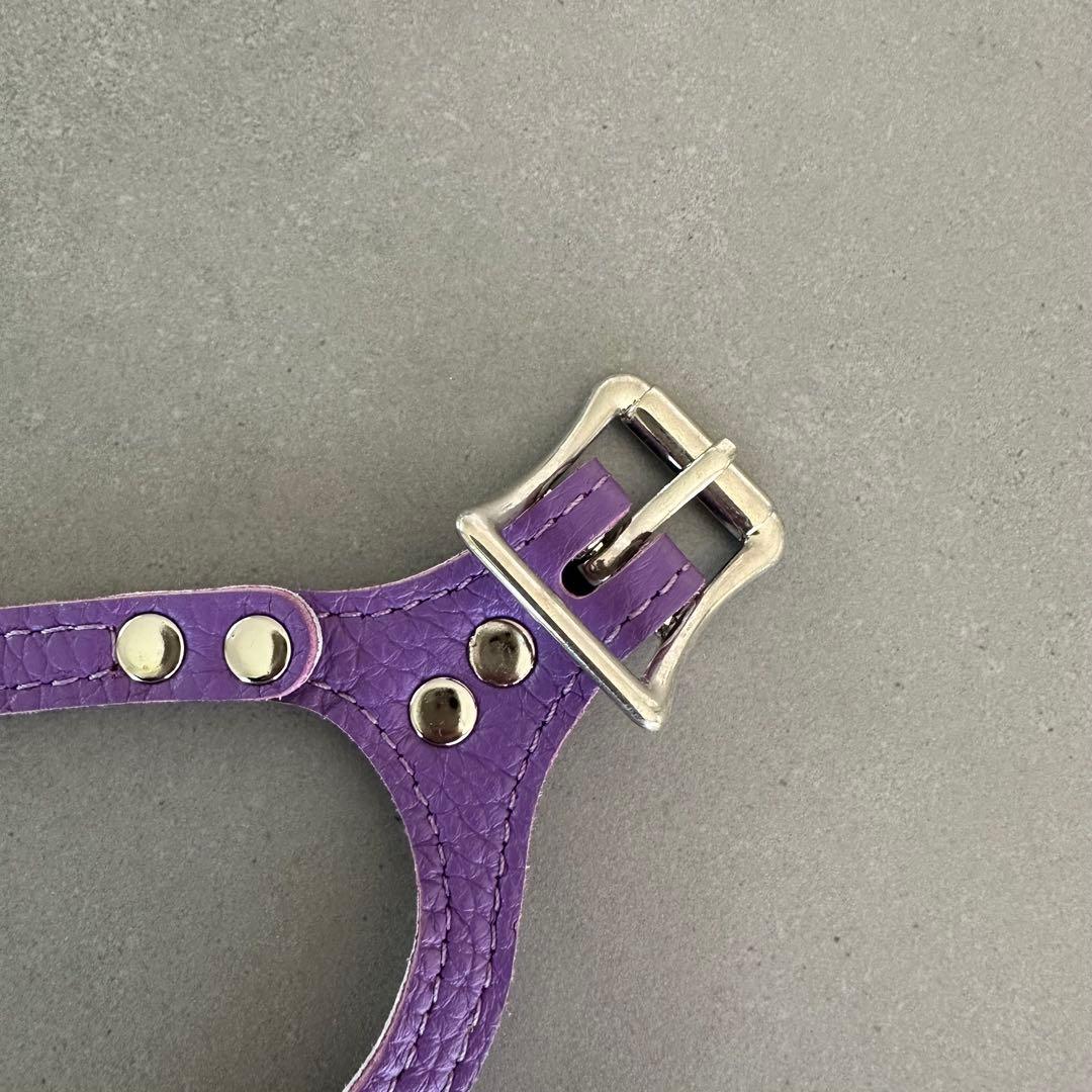 バディベルト BUDDYBELTS 3.5 紫 ハーネス