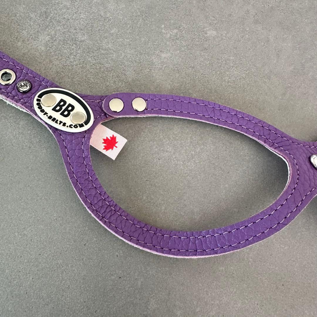 バディベルト BUDDYBELTS 3.5 紫 ハーネス