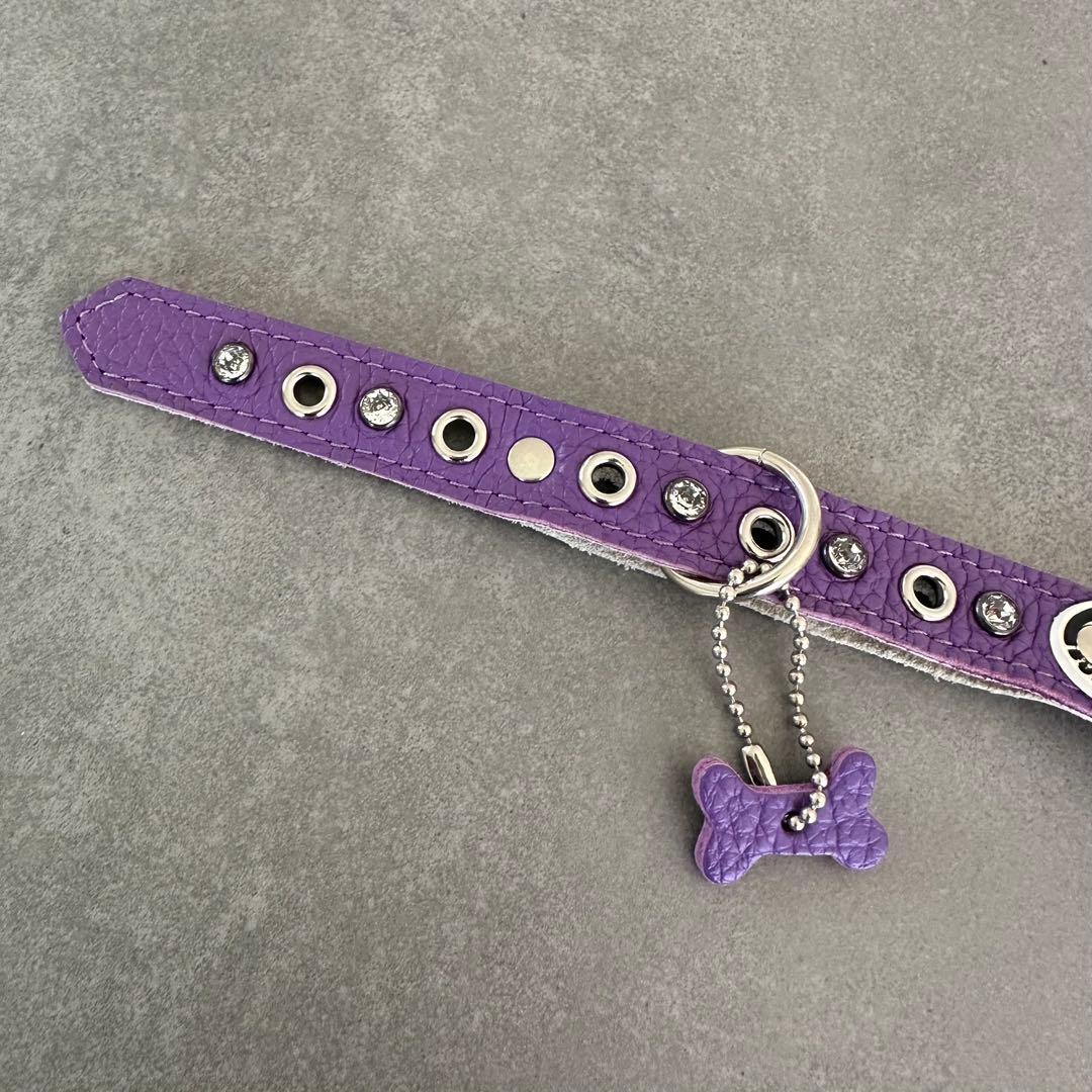 バディベルト BUDDYBELTS 3.5 紫 ハーネス