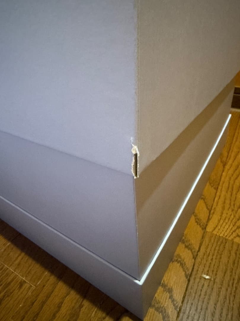 AZURA The Wing POP MART フィギュア ポップマート