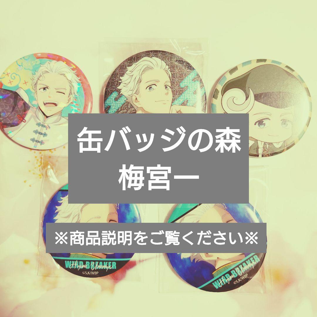 梅宮一 缶バッジ ウィンブレ WIND BREAKER