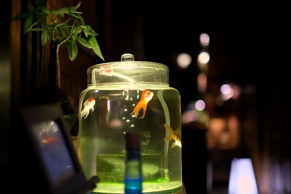 FUJIFILM XF35mm f1.4 r 【神レンズ】保護フィルター付