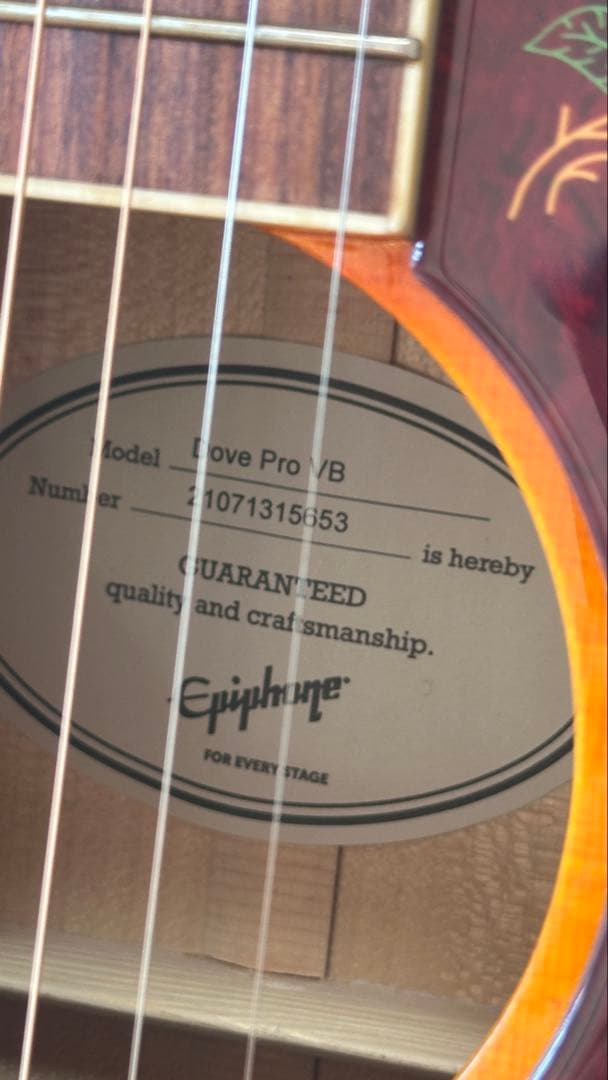 Epiphone DOVE PRO エレアコ Fishman搭載 弦高低め
