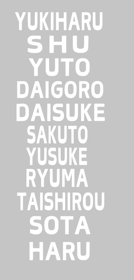 <<ネコポス>>Ayano様、オーダーアイロンシート