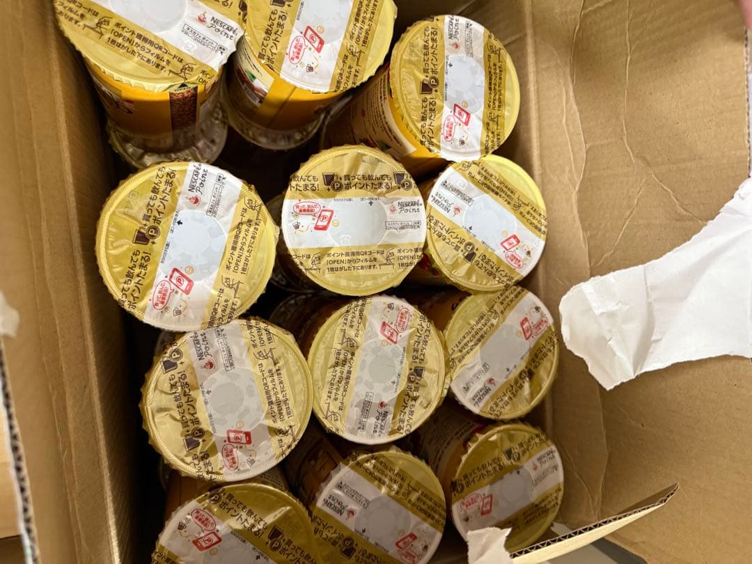 ネスカフェ ゴールドブレンド エコ＆システムパック 95g（48個）