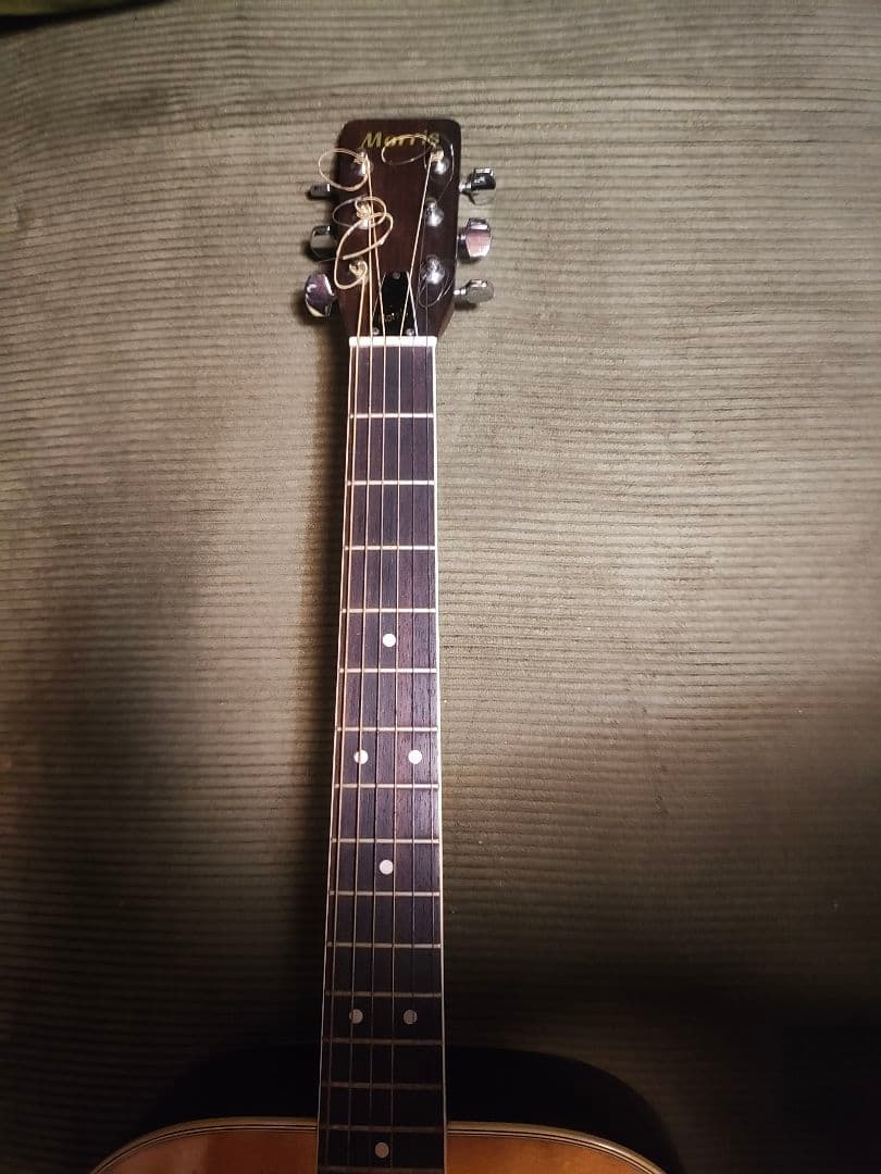 Morris アコースティックギターW25