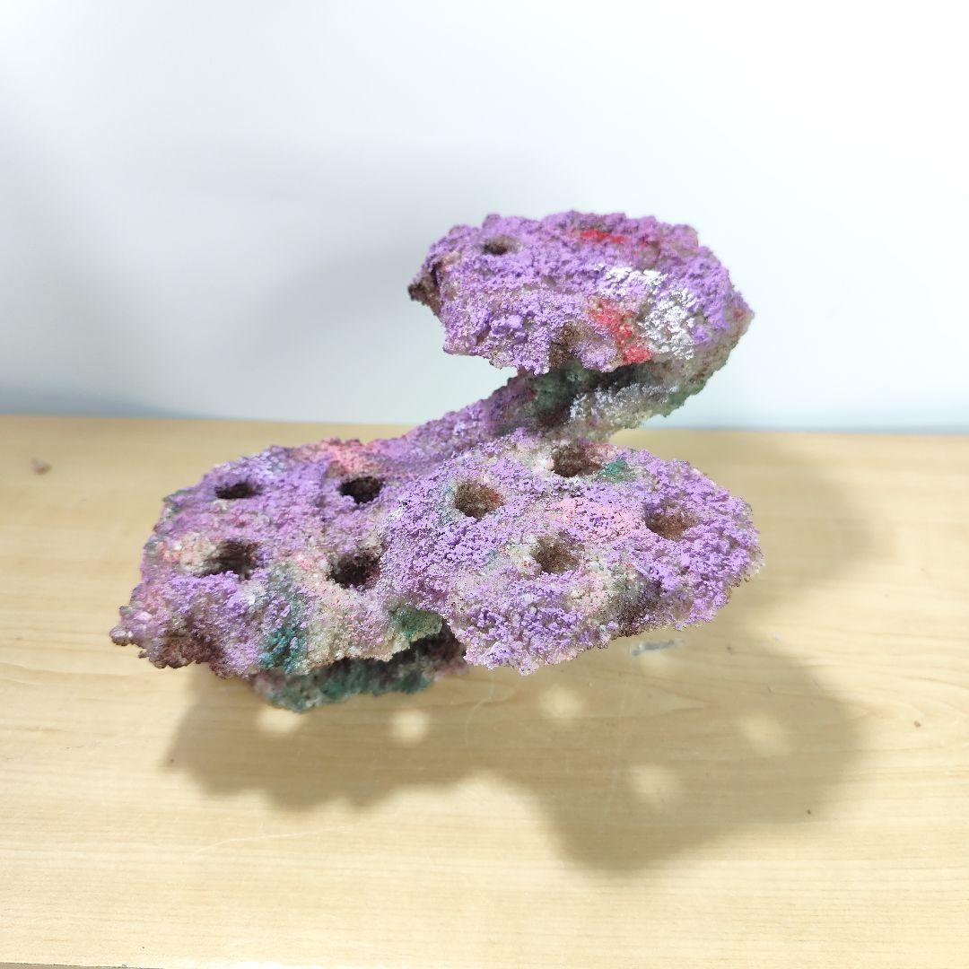 プラグ穴付き アク抜き不要人工ライブロック 海水水槽 レプリカ コーラルフラグ2