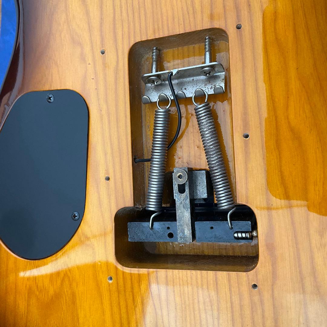 【玄人向け】Fernandes FR ブラウンバースト【特殊トレモロ】