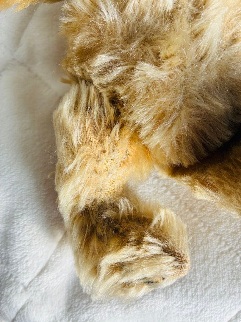 チャドバレー アンティークベア 人懐っこいお顔の可愛い子