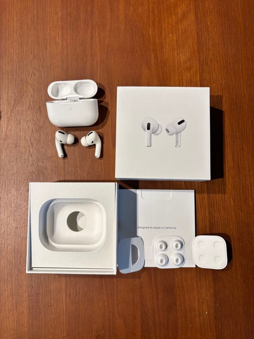 Apple AirPods Pro 第一世代本体