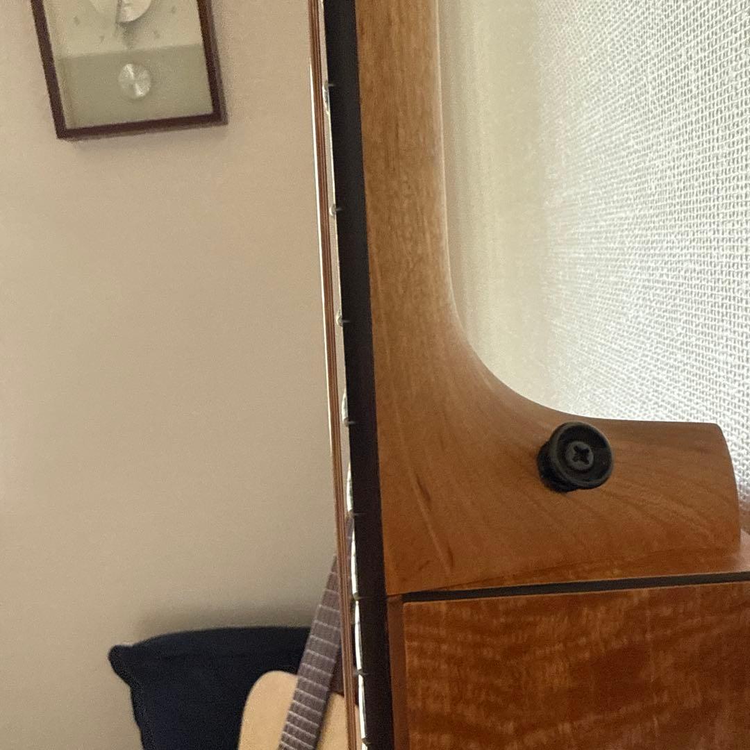 Martin & Co. XC1T ellipse カッタウェイ