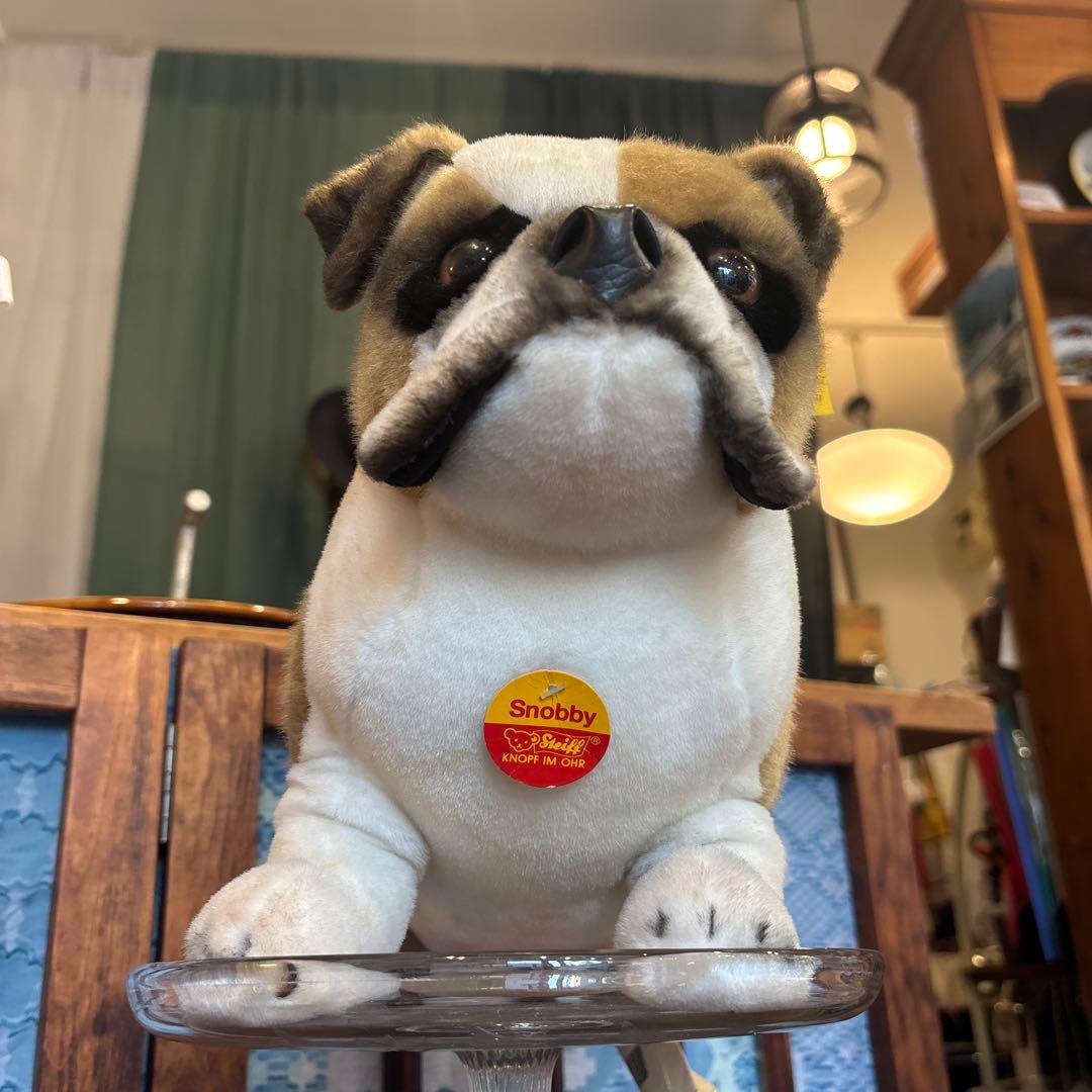 シュタイフ ブルドッグ　Snobby