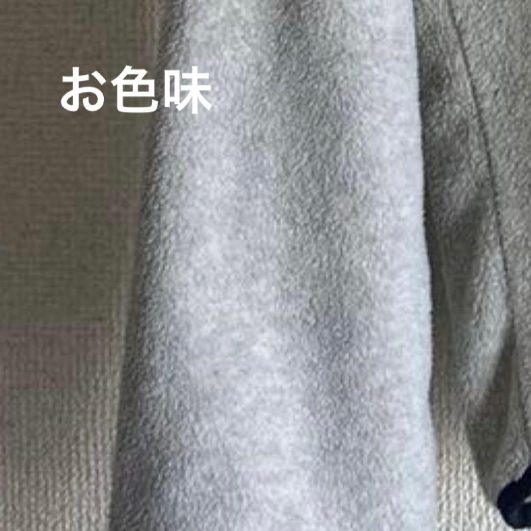 patagonia パタゴニア シンチラ スナップT オートミール XS