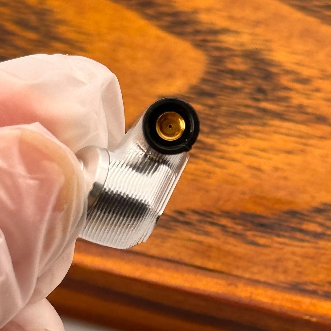 Sennheiser IE900 ゼンハイザー【付属品完備】