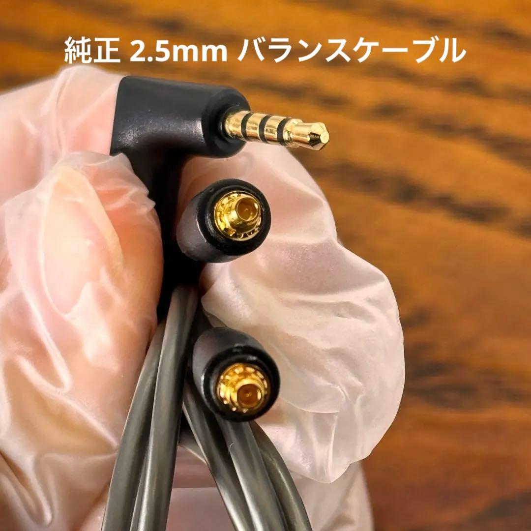 Sennheiser IE900 ゼンハイザー【付属品完備】